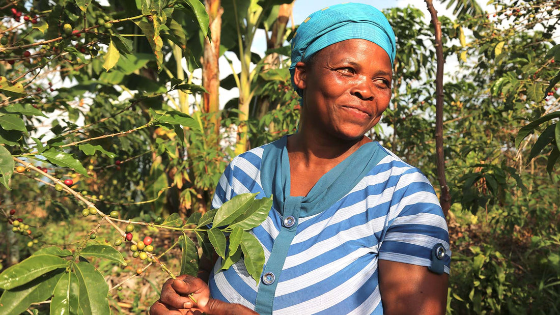 The Journey Continues: Following Christine’s Journey as a Westrock Coffee Farmer Partner in Rwanda