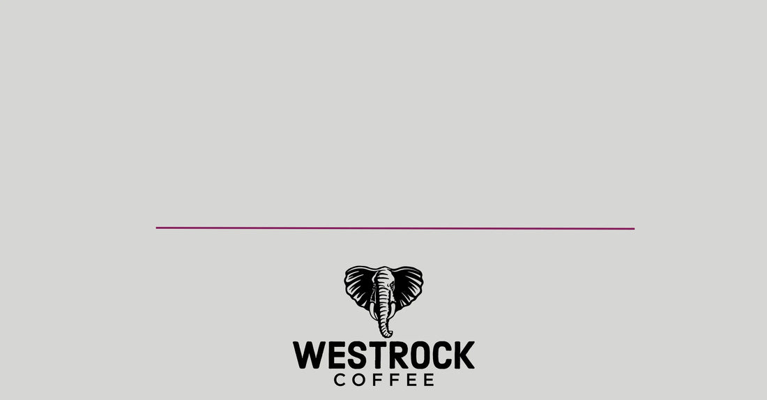 Westrock Coffee Company Reports Fourth Quarter and Full Year 2023 Results  and Provides 2024 Outlook