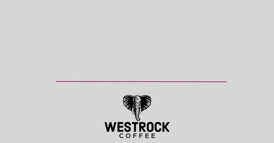 Westrock Coffee Company Reports Fourth Quarter and Full Year 2023 Results  and Provides 2024 Outlook