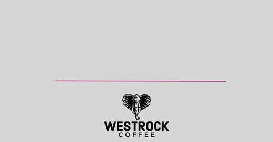 Westrock Coffee to Showcase Beverage Innovation, Capabilities, and Partnership at the  2024 National Restaurant Association Show