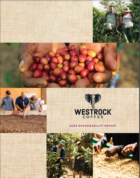 westrock 2023 sustainability report