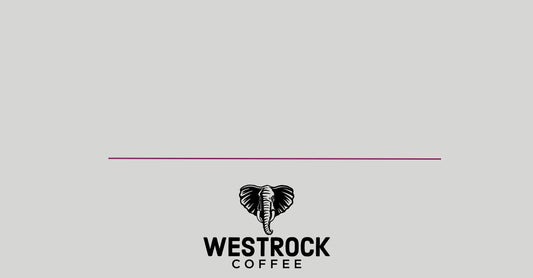 Westrock Coffee Opens Industry’s Largest Roast to Ready-to-Drink Manufacturing Facility in Conway, Arkansas Ahead of Schedule