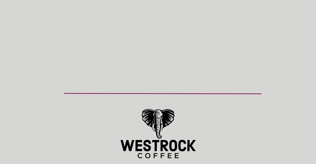 Westrock Coffee 2024 Proxy Statement