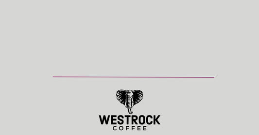 Westrock Coffee 2024 Proxy Statement