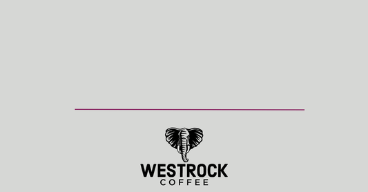 Westrock Coffee Company Reports Third Quarter 2023 Results