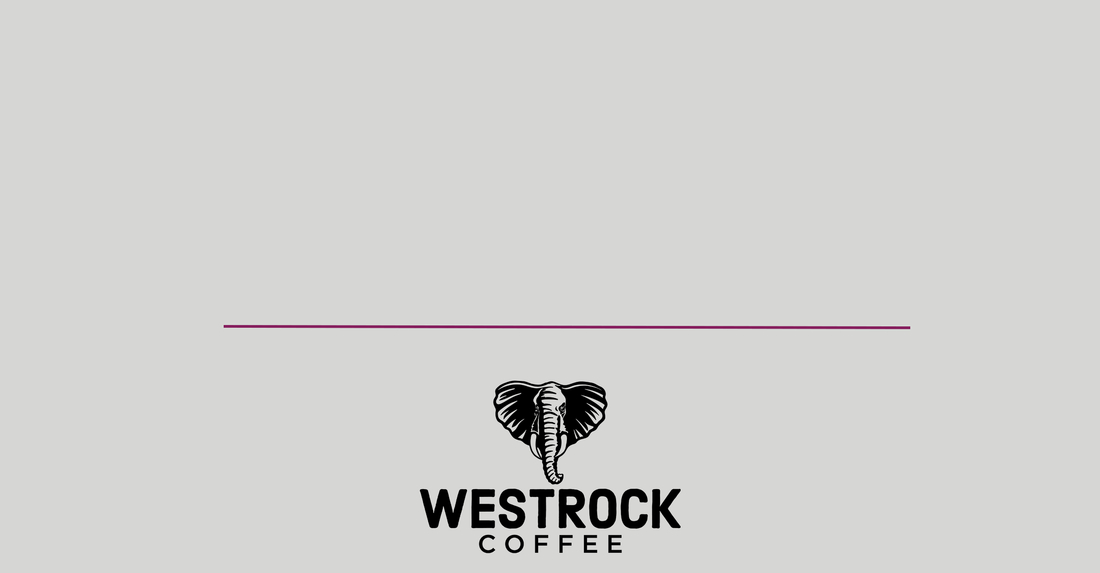 Westrock Coffee Logo with Line above
