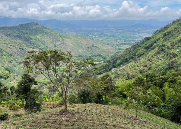 Colombia mountain iew