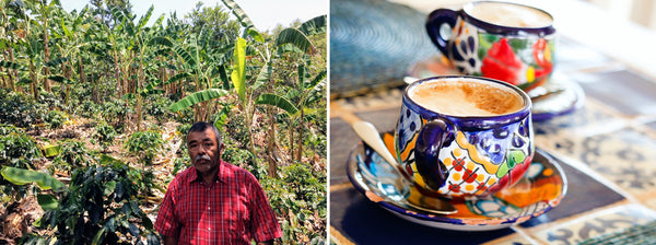 mexican farmer with coffee