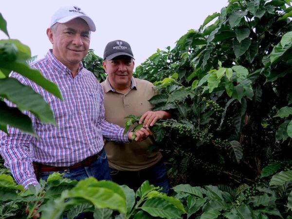 Farmers help Westrock Coffee develop sustainable farming solutions.
