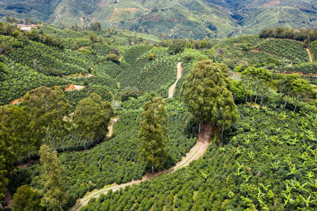 costa rica coffee farm aerial 