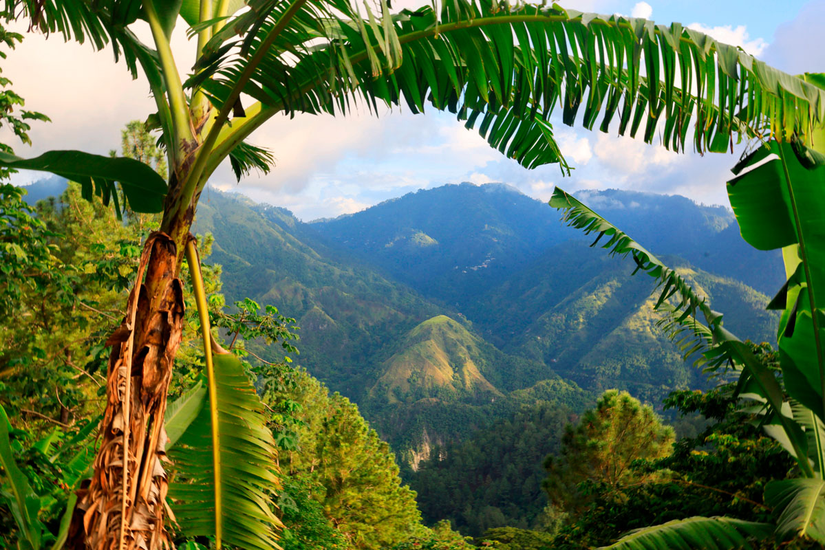 Blue Mountain Range in Jamaica