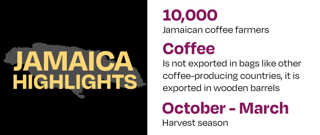 jamaica highlight infographic