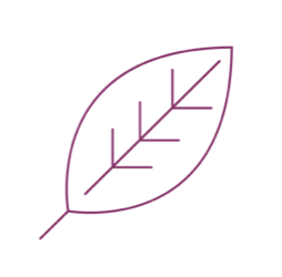 leaf illustration in purple